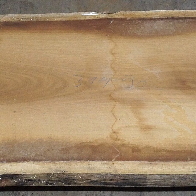 Iroko table top, approx. 3100 x 900 x 65 mm, 13293