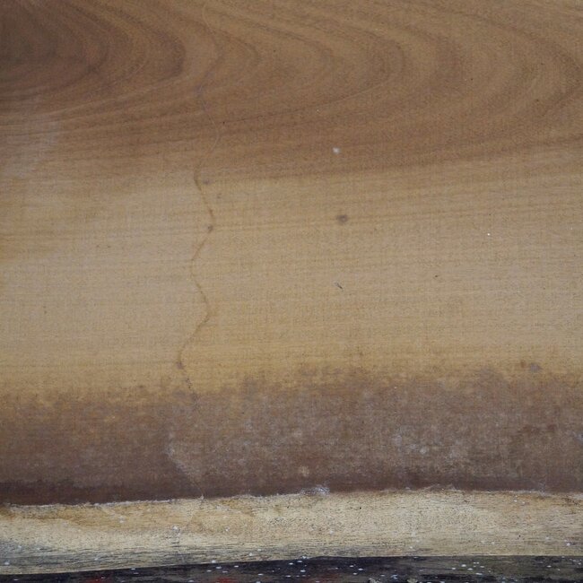 Iroko table top, approx. 3100 x 900 x 65 mm, 13293