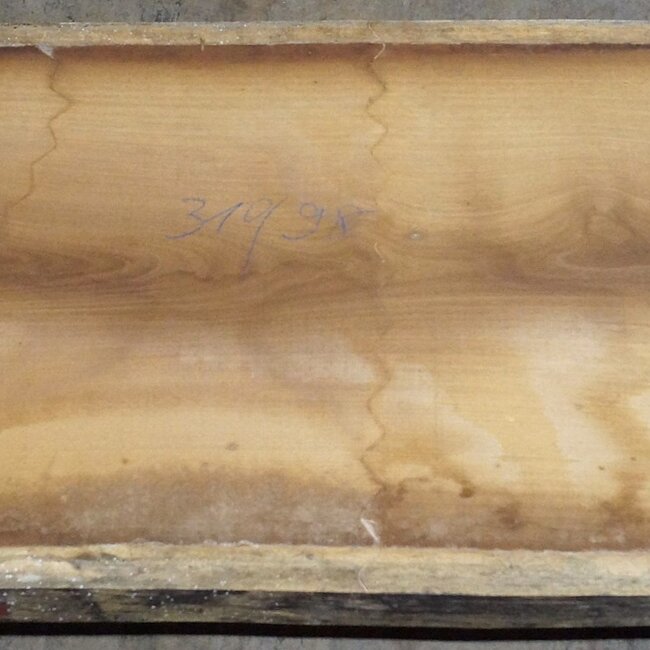 Iroko Tischplatte, ca. 3100 x 980 x 65 mm, 13292