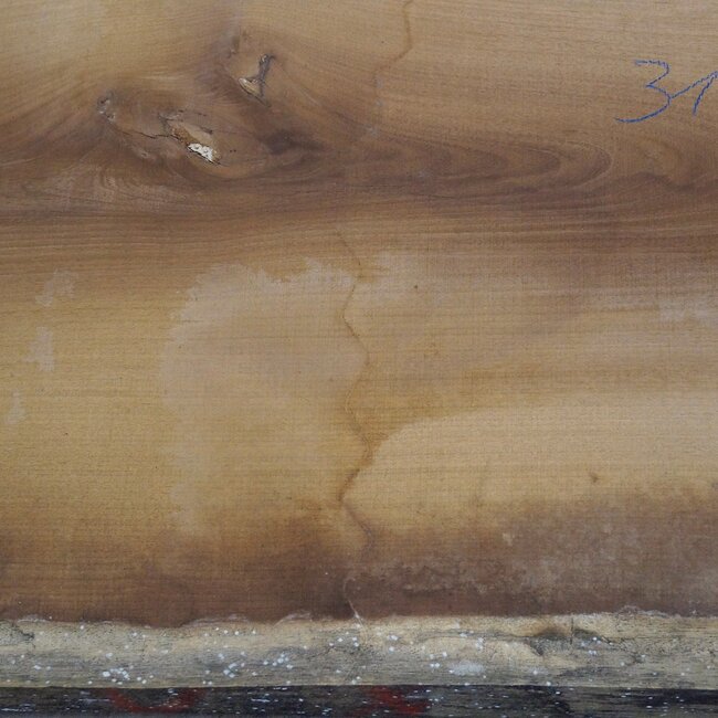 Iroko table top, approx. 3100 x 980 x 65 mm, 13292