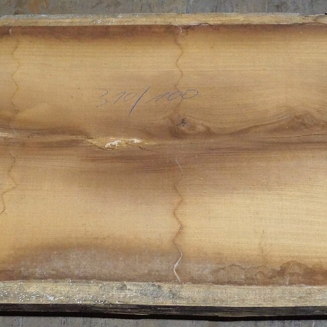 Iroko Tischplatte, ca. 3100 x 1000 x 65 mm, 13291