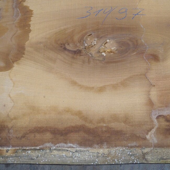 Iroko table top, approx. 3100 x 970 x 65 mm, 13289