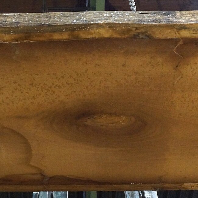 Iroko Tischplatte, ca. 3100 x 970 x 65 mm, 13289