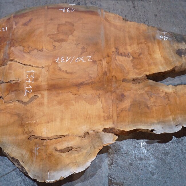 Sapeli Mahagoni, Tischplatte, ca. 2300 x 1370 x 65 mm, 13712