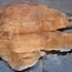 Sapeli Mahogany, table top, approx. 2300 x 1370 x 65 mm, 13712