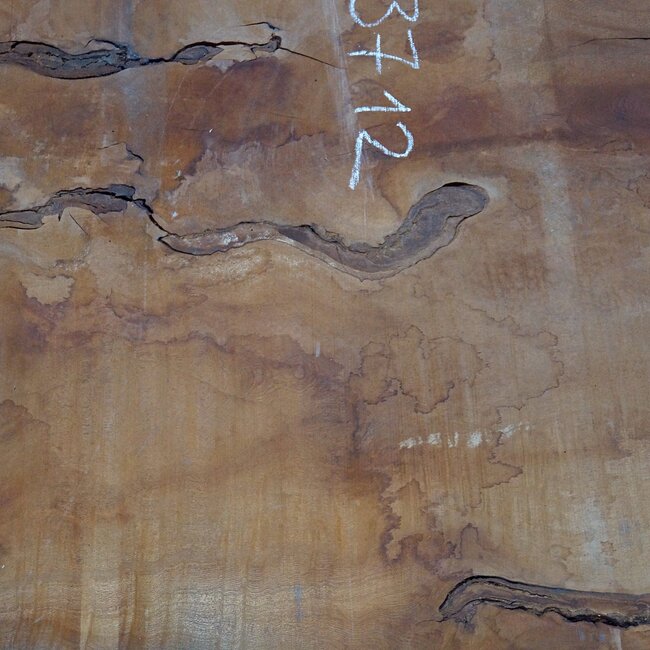Sapeli Mahogany, table top, approx. 2300 x 1370 x 65 mm, 13712