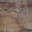 Sapeli Mahogany, table top, approx. 2300 x 1370 x 65 mm, 13712