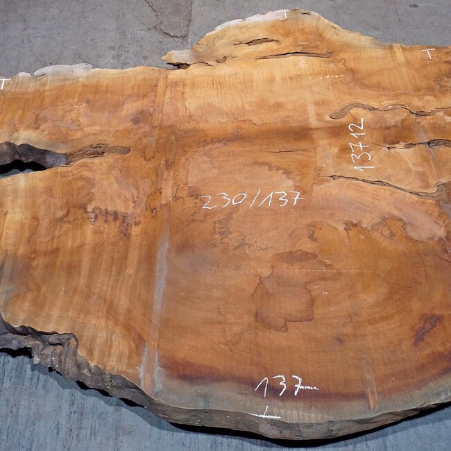 Sapeli Mahogany, table top, approx. 2300 x 1370 x 65 mm, 13712