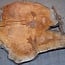 Sapeli Mahogany, table top, approx. 2150 x 1760 x 65 mm, 13714