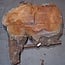 Sapeli Mahogany, table top, approx. 1700 x 1400 x 65 mm, 13715