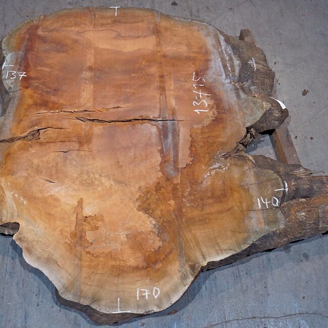 Sapeli Mahagoni, Tischplatte, ca. 1700 x 1400 x 65 mm, 13715