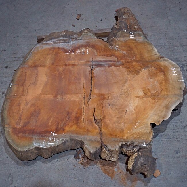 Sapeli Mahogany, table top, approx. 1700 x 1400 x 65 mm, 13715