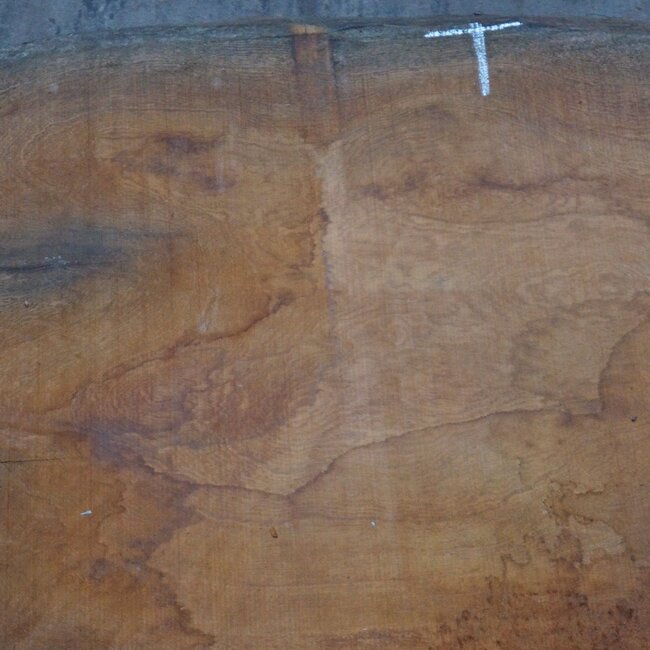 Sapeli Mahagoni, Tischplatte, ca. 1570 x 1200 x 65 mm, 13716