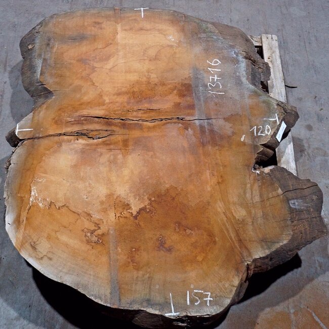 Sapeli Mahogany, table top, approx. 1570 x 1200 x 65 mm, 13716