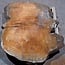 Sapeli Mahogany, table top, approx. 1570 x 1200 x 65 mm, 13716