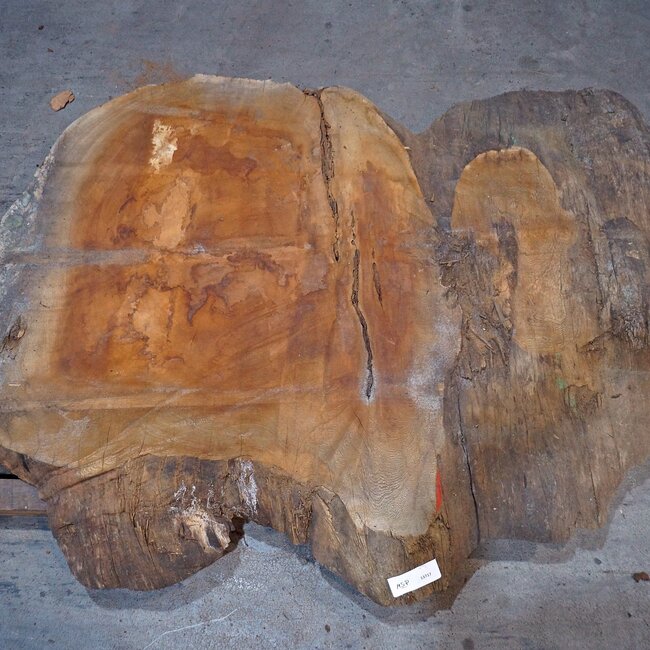 Sapeli Mahagoni, Tischplatte, ca. 1570 x 1200 x 65 mm, 13716