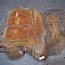 Sapeli Mahagoni, Tischplatte, ca. 1570 x 1200 x 65 mm, 13716