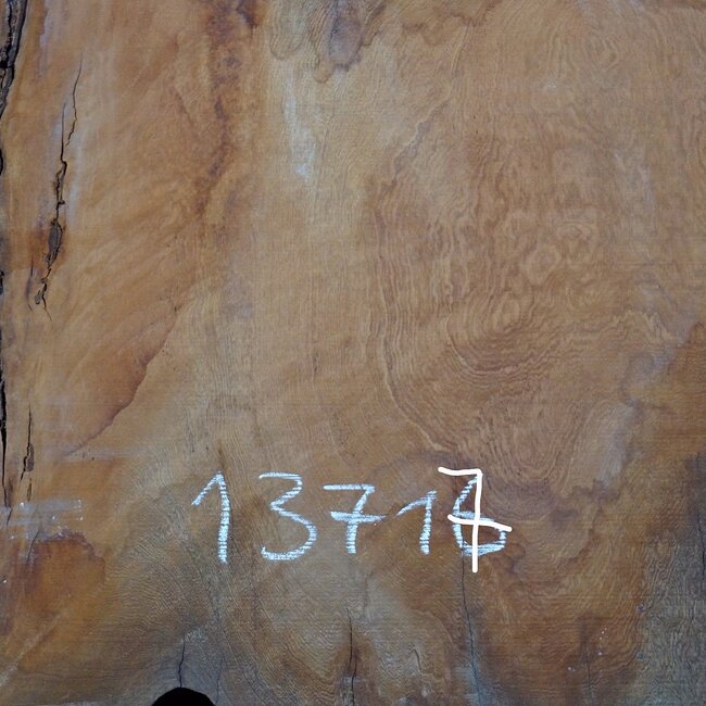 Sapeli Mahogany, table top, approx. 1580 x 1160 x 65 mm, 13717