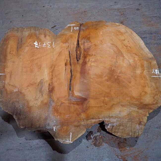 Sapeli Mahagoni, Tischplatte, ca. 1580 x 1160 x 65 mm, 13717