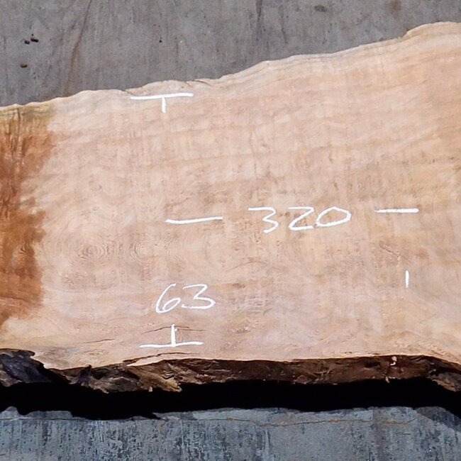 Sapeli Mahogany pommelé, table top, approx. 3200(3400) x 630 x 50 mm, 13731 G