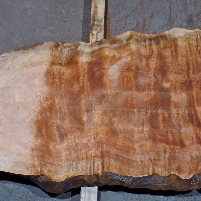 Sapeli Mahogany pommelé, table top, approx. 3200(3400) x 630 x 50 mm, 13731 G