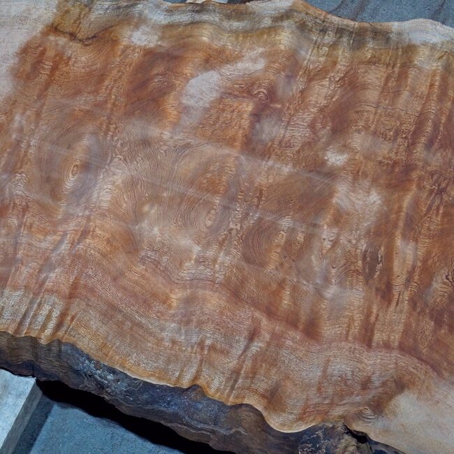 Sapeli Mahogany pommelé, table top, approx. 3200(3400) x 630 x 50 mm, 13731 G