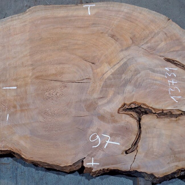 Sapeli Mahogany pommelé, table top, approx. 3200(3400) x 630 x 50 mm, 13731 G