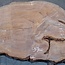 Sapeli Mahogany pommelé, table top, approx. 3200(3400) x 630 x 50 mm, 13731 G