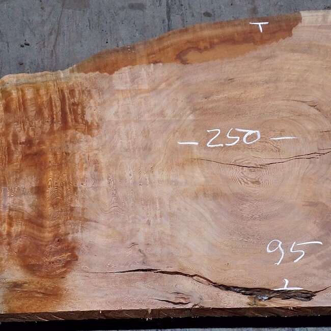 Sapeli Mahagoni pommelé, Tischplatte, ca. 2500(2700) x 950 x 52 mm, 13732 G