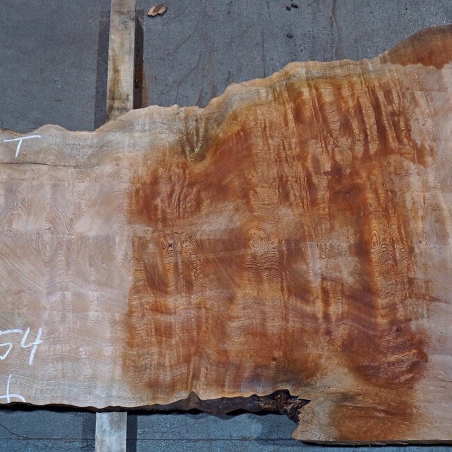 Sapeli Mahagoni pommelé, Tischplatte, ca. 2500(2700) x 950 x 52 mm, 13732 G