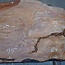 Sapeli Mahagoni pommelé, Tischplatte, ca. 2500(2700) x 950 x 52 mm, 13732 G