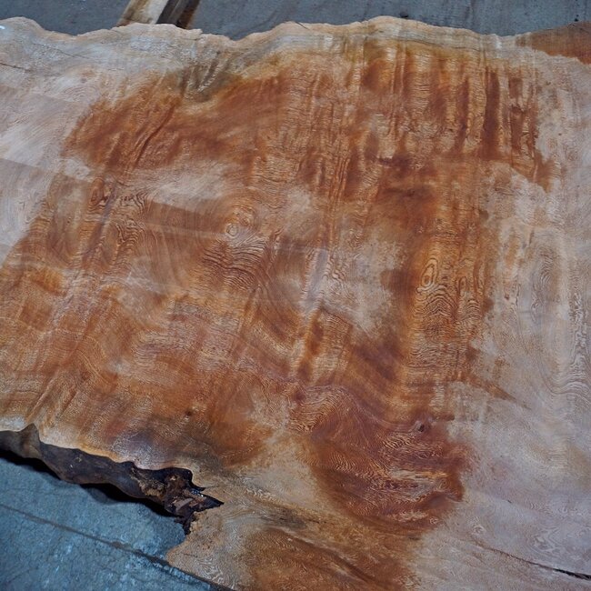 Sapeli Mahogany pommelé, table top, approx. 2500(2700) x 950 x 52 mm, 13732 G
