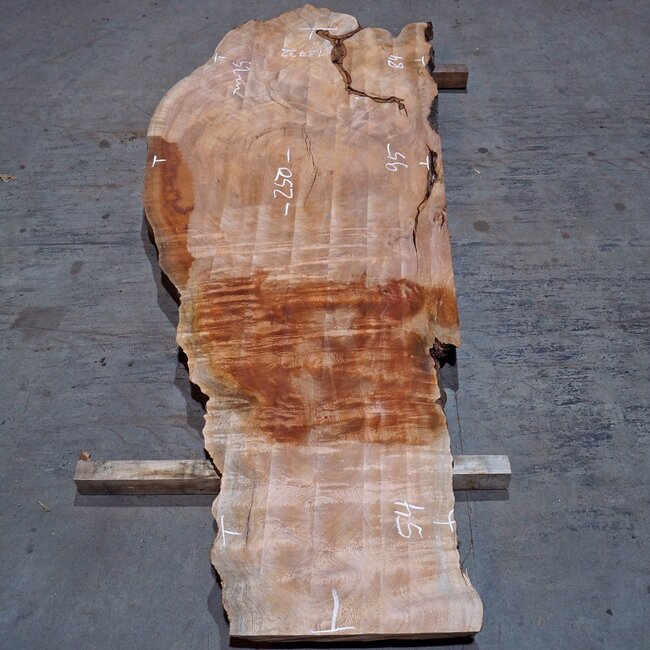 Sapeli Mahagoni pommelé, Tischplatte, ca. 2500(2700) x 950 x 52 mm, 13732 G