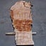 Sapeli Mahogany pommelé, table top, approx. 2500(2700) x 950 x 52 mm, 13732 G