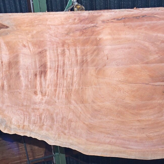Sapeli Mahagoni pommelé, Tischplatte, ca. 2500(2700) x 950 x 52 mm, 13732 G