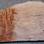 Sapeli Mahagoni pommelé, Tischplatte, ca. 2200 x 900 x 45 mm, 13733 G
