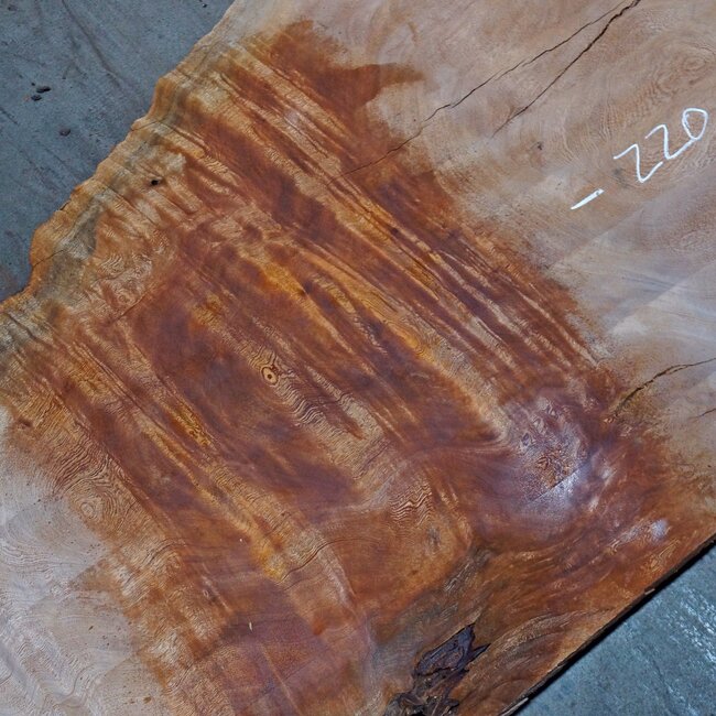 Sapeli Mahogany pommelé, table top, approx. 2200 x 900 x 45 mm, 13733 G