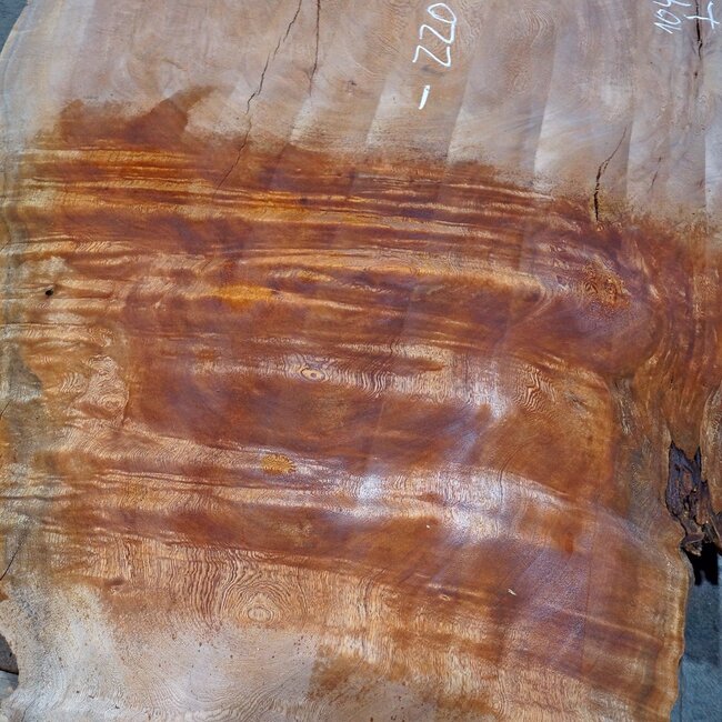 Sapeli Mahagoni pommelé, Tischplatte, ca. 2200 x 900 x 45 mm, 13733 G
