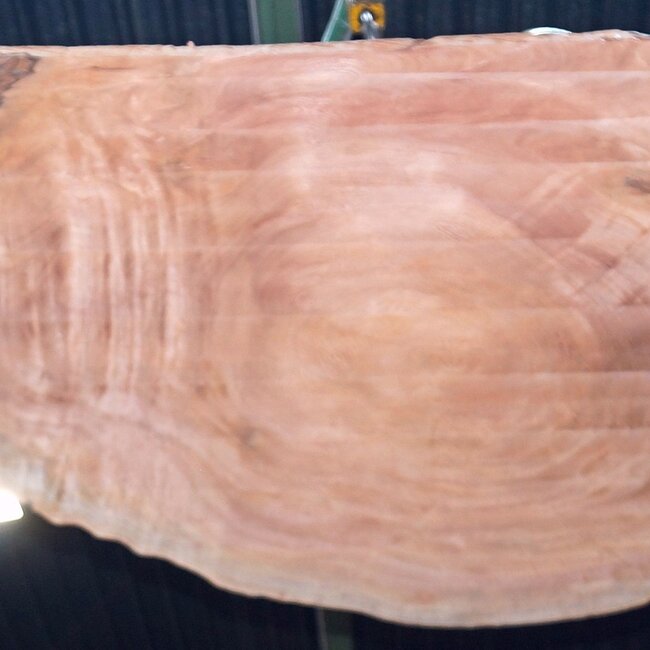 Sapeli Mahagoni pommelé, Tischplatte, ca. 2200 x 900 x 45 mm, 13733 G