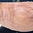 Sapeli Mahagoni pommelé, Tischplatte, ca. 2200 x 900 x 45 mm, 13733 G