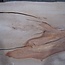 Pearwood unsteamed, approx. 1850 x 750 x 40 mm, 13734 G