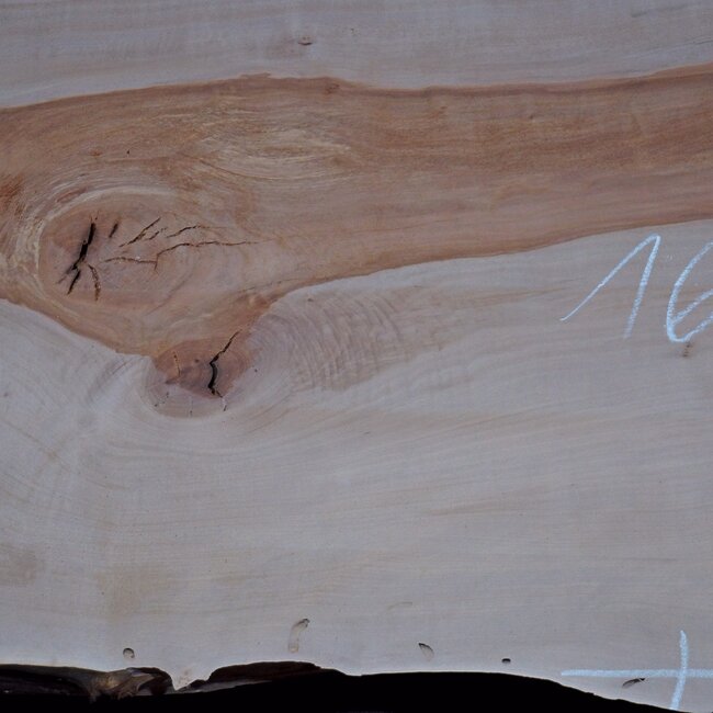 Birne ungedämpft, ca. 1650 x 690 x 30-40 mm, 13735 G