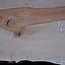 Birne ungedämpft, ca. 1650 x 690 x 30-40 mm, 13735 G