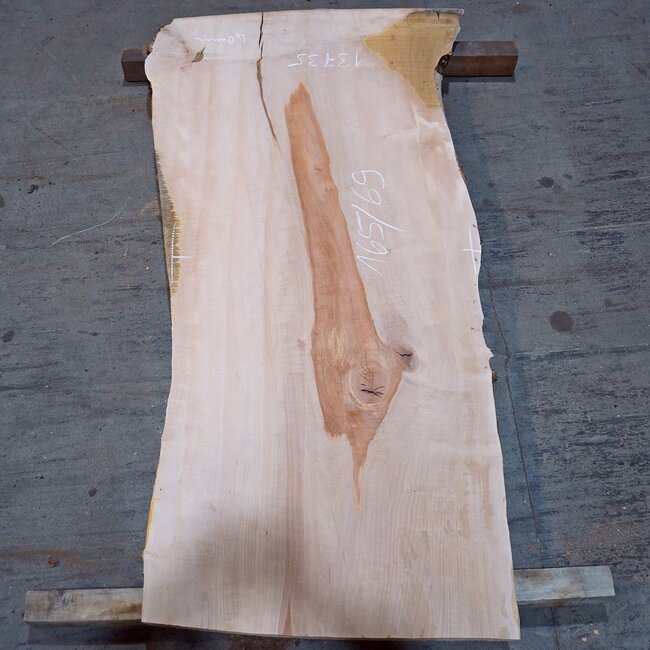 Birne ungedämpft, ca. 1650 x 690 x 30-40 mm, 13735 G