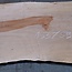 Birne ungedämpft, ca. 1550 x 590 x 35 mm, 13736 G