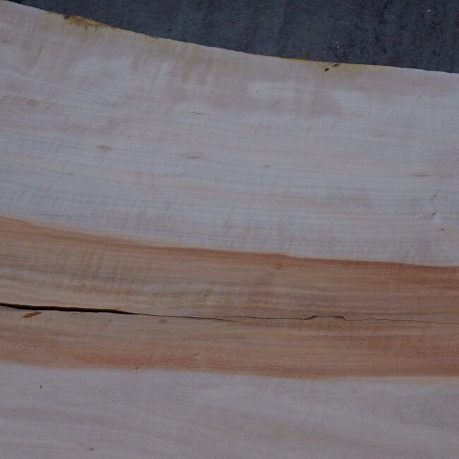 Birne ungedämpft, ca. 1550 x 590 x 35 mm, 13736 G