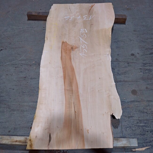 Birne ungedämpft, ca. 1550 x 590 x 35 mm, 13736 G