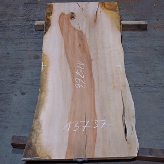Birne ungedämpft, ca. 1750 x 660 x 30-40 mm, 13737 G