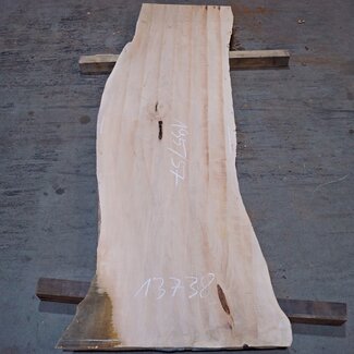 Birne ungedämpft, ca. 1950 x 570 x 35 mm, 13738 G