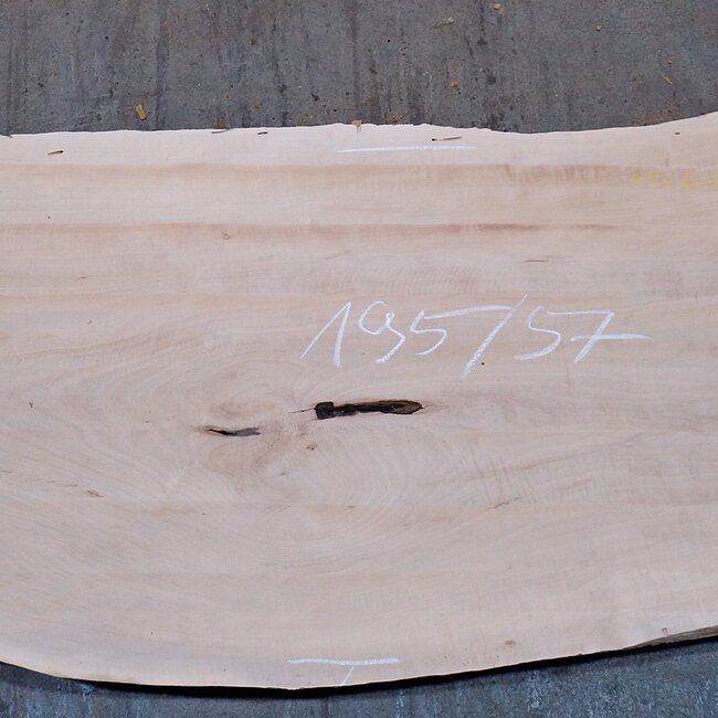 Birne ungedämpft, ca. 1950 x 570 x 35 mm, 13738 G